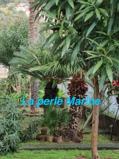 La perle Marine - Diano Marina - 0