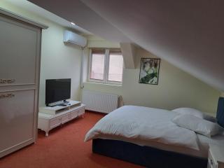Casa Livia PP Aparthotel - Oradea - 0