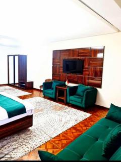 HOTEL AYNI - Dushanbe - 5