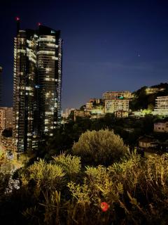 Luxueux Studio Neuf - Frontière Monaco - Piscine - Parking privé - Monte Carlo - 5