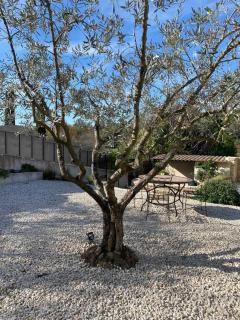 “La belle vie” en Provence - Malemort-du-Comtat - 3