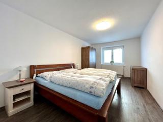 Apartmán Pohoda - Všemyslice - 1