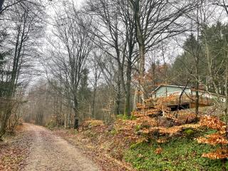 Äspinge skogsvilla - - 4