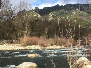 Adorable guest house/annexe avec terrasse - 7
