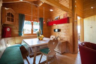 Ferienhaus Bayerischer Wald - Stamsried - 6