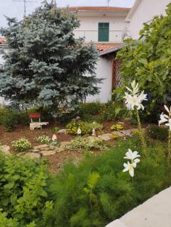 Apartmani Lučica - Jezera - 4