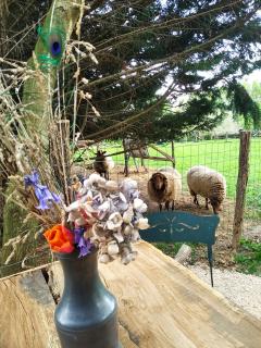 Roulotte irlandaise Polly - 4