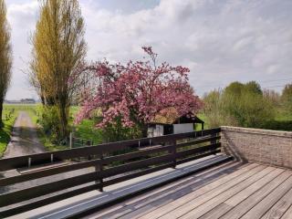 De Burg - Alveringem - 5
