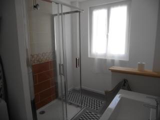 maison bleue - Vichy - 4