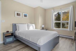 Polar Peaks Hot Tub Pool Gas Fireplace - 7