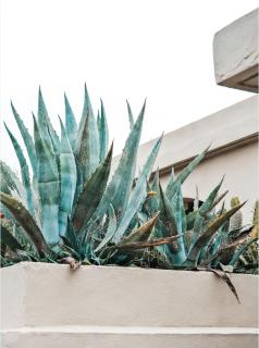 Hotel Plein Large - Bandol - 7
