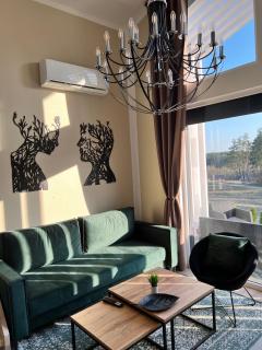 Casa Kashubia - Nowoczesny dom wakacyjny nad jeziorem - Cisza natura i komfort - 2