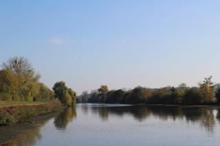 Un Brain de nature - 2