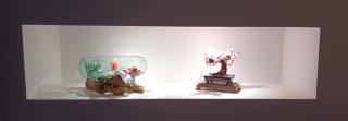 Un Brain de nature - La Chapelle-de-Brain - 2