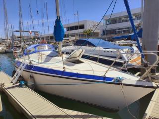 Lanzarote Pirat - Arrecife - 0
