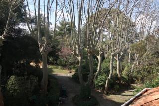 Gîte de l'arbre perché à Langel - Armissan - 8