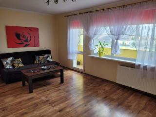 Apartament Palisadowa - Wałbrzych - 6