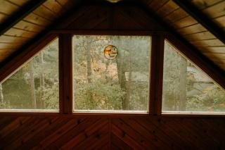 Silver Rapids Lodge & Campground - Ely - 8