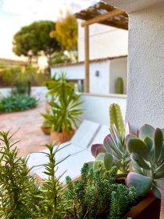 Can Yuca II - Cala Mondragó - 2