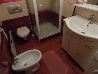 Apartment Zeleni dragulj Pohorje - Oplotnica - 7