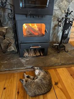 Brvnara DRINA Wooden House Drina - 2