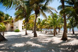 Yum Botic Villa Beach House - 6