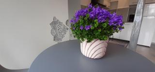 Háziállatbarát BICHON nyaraló medencehasználattal - 5