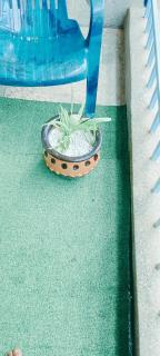 EuphGlory Accomodations 1 bedroom - 3