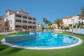 La Perla del Sur - The Pearl House - Chayofa - 9