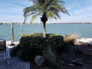 Paradise Lane-Dolphin View-On the Intercostal - St Pete Beach - 3