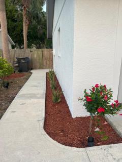 Lopez Place - Tampa - 8