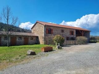 Gîte chaleureux avec terrasse, pêche, randonnées et équipements modernes au cœur du Haut Forez - FR-1-496-285 - Les Salles - 9