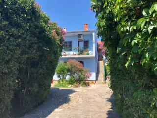 Apartment in villa, private pool, big garden, close to sea and Old Zadar town - Zadar - 0