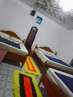 Ohiya Jungle resort - Ohiya - 8