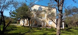 Antonios Olive Garden Acharavi Kerkyra - 0