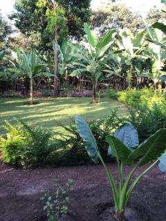The Hondo Hondo House, Mto wa Mbu, Tanzania - Mto wa Mbu - 8