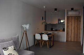 Apartamenty Beskid House - Bielsko-Biała - 9