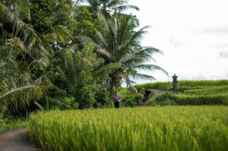 Hideaway Village Bali Ubud by Kanaan Hospitality - Ubud - 4