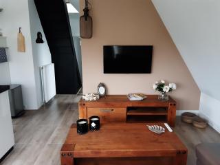 BenB Humblebee - Alkmaar - 5