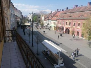 Apartament Royal Sibiu - 8