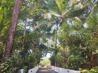 Villa Pont Bleu - Canacona - 3