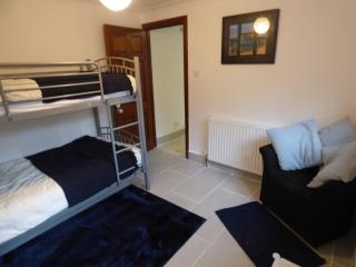 The Mill Cottage - Llechryd - 4