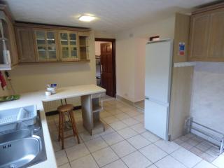 The Mill Cottage - Llechryd - 2