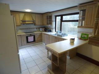 The Mill Cottage - Llechryd - 1