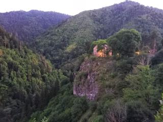 Hotel Villa Borjomi - 4