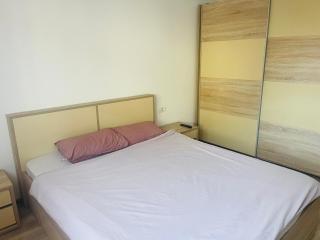 AMA - Timişoara - 2