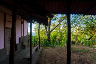 The Woods - Birding, Farming & Eco Living - 2