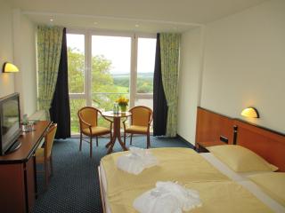 Panorama Hotel - Glashütten - 2