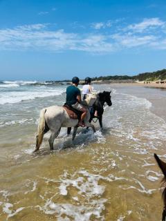 Kob Inn Beach Resort - - 2