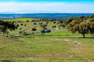 Moradia gémea 2 em Herdade Santa Marta - 9